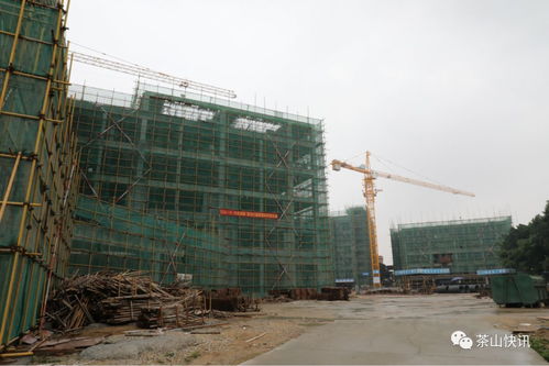 落實 一號文兩攻堅 茶山加快推進120個民生工程建設