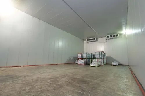 建造一個大型甜瓜冷藏庫的造價