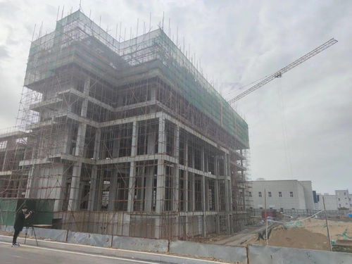 東方紅西洋參藥業二期工程建設有條不紊推進