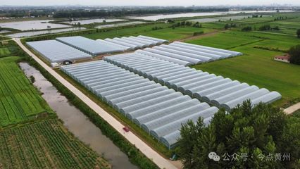 強(qiáng)縣工程看黃州丨黃州區(qū):大力發(fā)展現(xiàn)代農(nóng)業(yè) 推進(jìn)農(nóng)業(yè)產(chǎn)業(yè)現(xiàn)代化