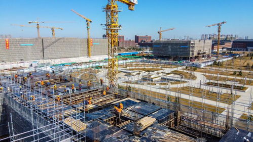 齊魯青未了 春暖復工忙 山東精準穩妥推進工程建設項目開復工