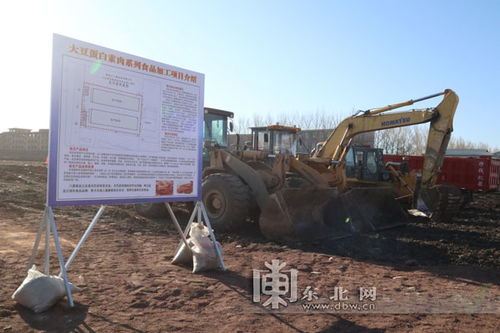 巴彥縣食品加工項目開工建設 將轉化地產大豆6萬噸