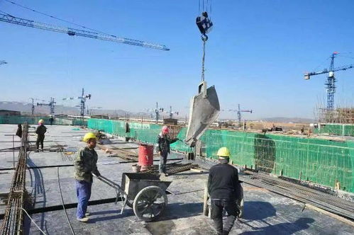 速度 主體將全部封頂 部分投入使用 中農批冷鏈物流項目一期工程建設接近尾聲