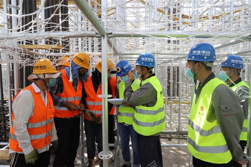 鑄就中塔友誼新篇章 煙建集團用精品工程 建筑友誼豐碑