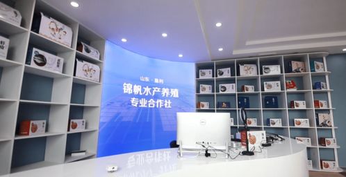 競賽比武 走進全市基層黨建觀摩①農村領域觀摩點