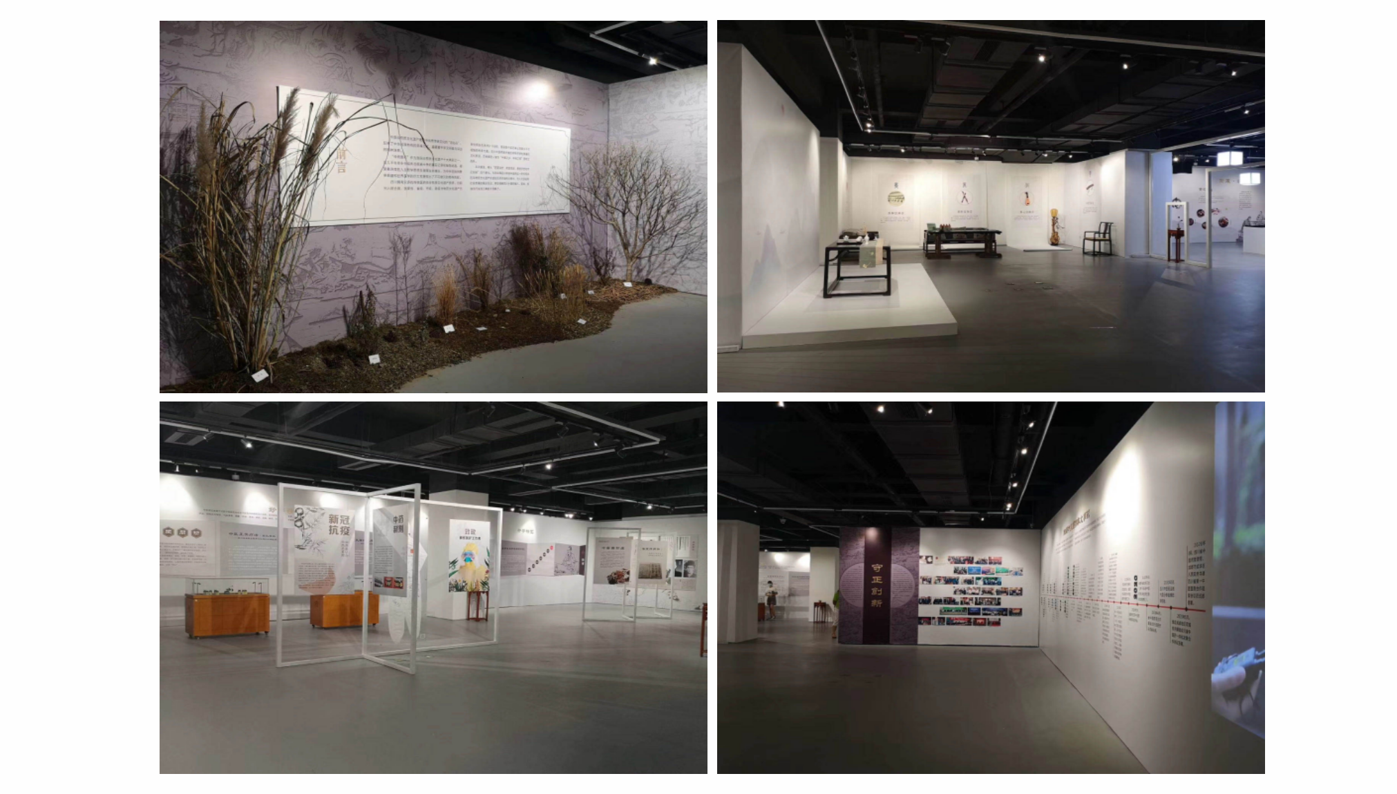 非遺傳承健康生活——中醫藥之美專題展