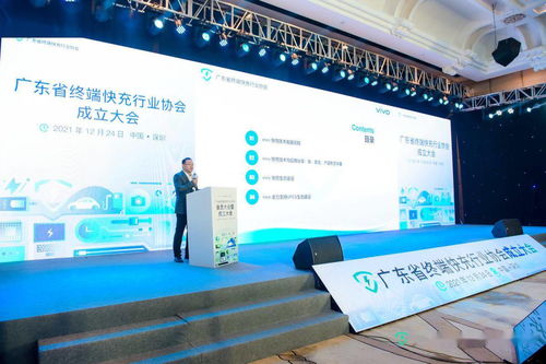全國(guó)首家終端快充行業(yè)協(xié)會(huì)成立 vivo助力技術(shù)標(biāo)準(zhǔn)化，加速產(chǎn)業(yè)協(xié)同與生態(tài)構(gòu)建